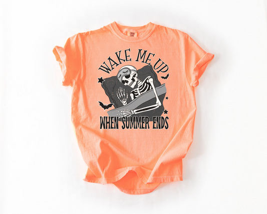 Wake me Up when Summer Ends Adult T-Shirts